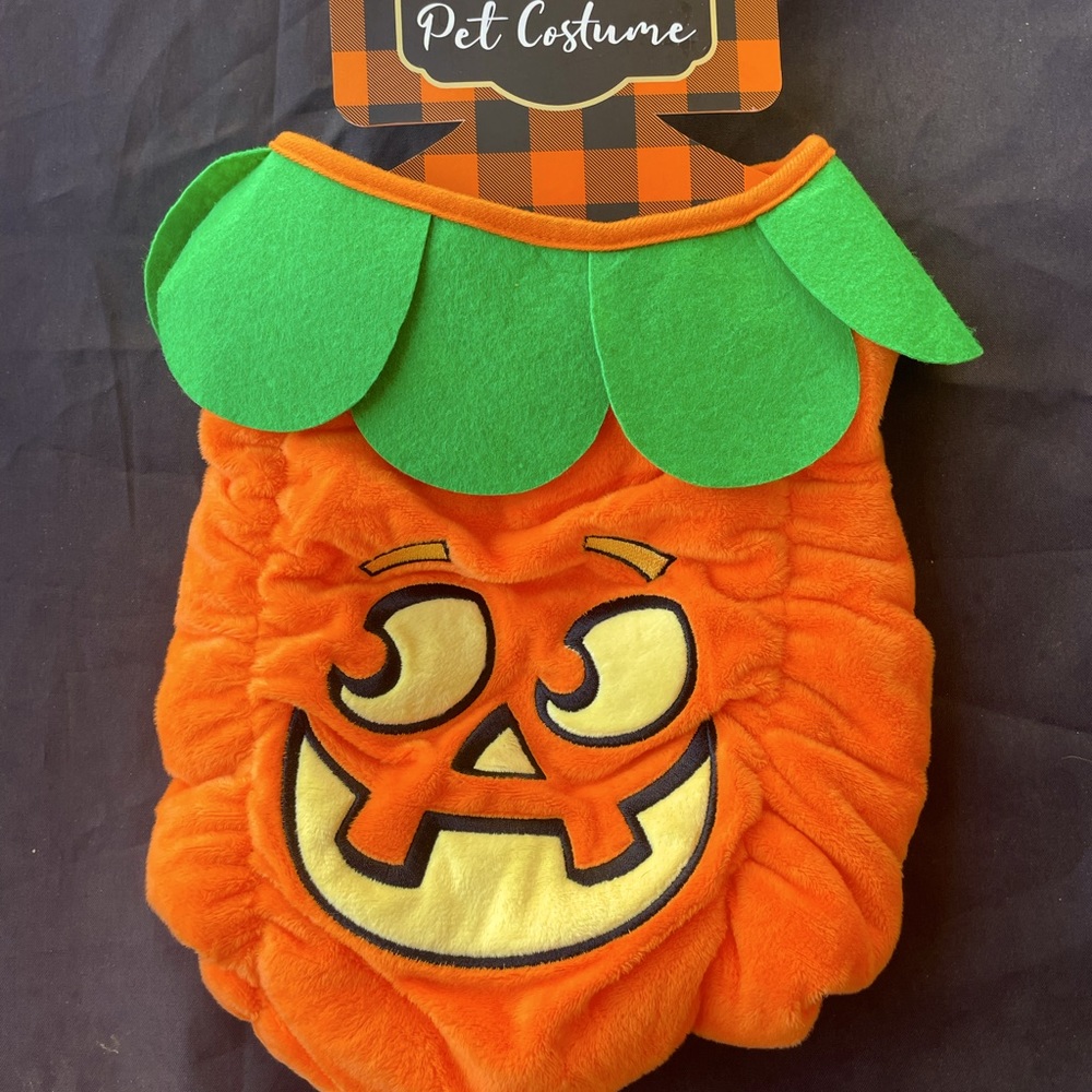 Pumpkin, Pet Costume, Size L